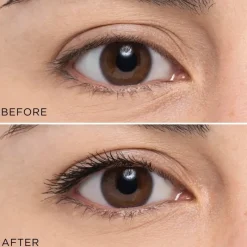 Artdeco Perfect Volume Mascara Black 10ml Best
