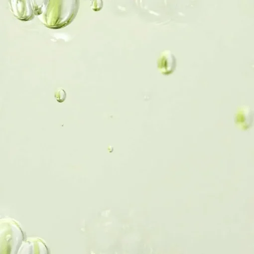 Beauty of Joseon Calming Serum Green Tea + Panthenol 30ml Hot