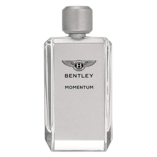 Bentley Momentum Edt 100ml Discount