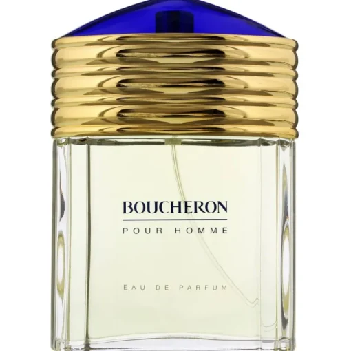 Boucheron Pour Homme Edp 100ml Sale