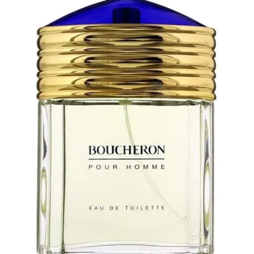 Boucheron Pour Homme EdT 100ml Discount