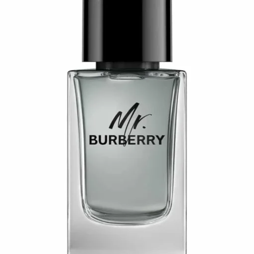 Burberry Mr Edt 100ml Sale