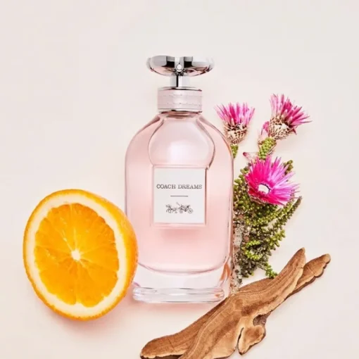 Coach Dreams Edp 40ml Hot
