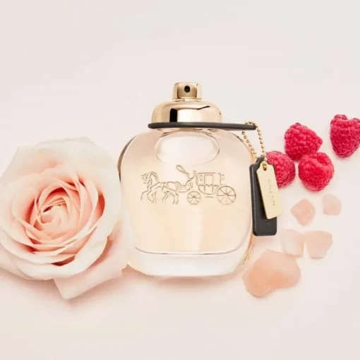 Coach Edp 30ml Clearance