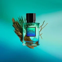 David Beckham True Instinct Edp 75ml Best