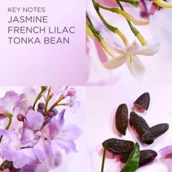 Elizabeth Arden White Tea Lilac Edt 100ml Hot