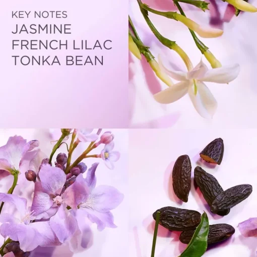 Elizabeth Arden White Tea Lilac Edt 100ml Hot