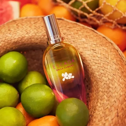 Escada Brisa Cubana Limited Edition Edt 100ml Hot