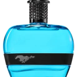Ford Mustang Blue For Men Edt 100ml Discount
