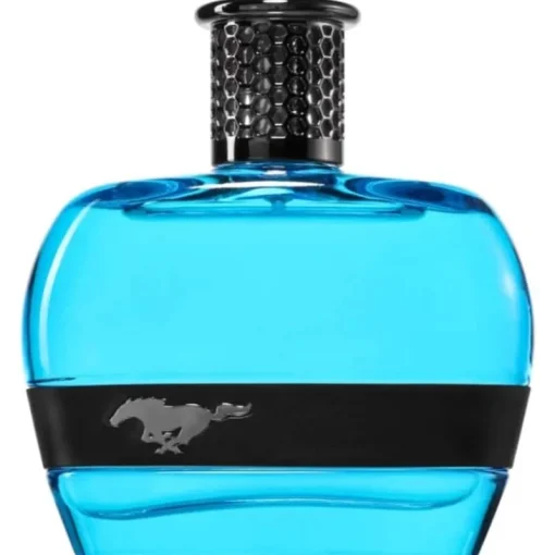 Ford Mustang Blue For Men Edt 100ml Discount