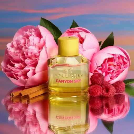 Hollister Canyon Sky For Her Edp 100ml Best