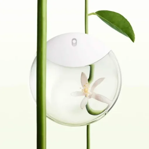 Issey Miyake A Drop d’Issey Edp 50ml Sale