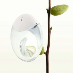 Issey Miyake A Drop d’Issey Edp 50ml Sale