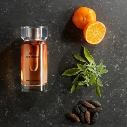 Karl Lagerfeld Les Parfums Matières Bois d’Ambre Edt 100ml Outlet