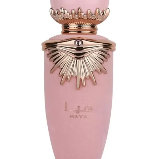 Lattafa Haya Edp 100ml Sale