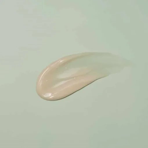 Round Lab Mugwort Calming Cream 80ml Sale