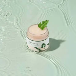 Round Lab Mugwort Calming Cream 80ml Sale