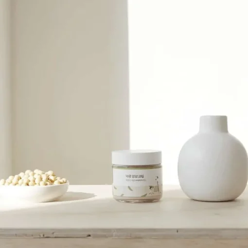 Round Lab Soybean Nourishing Cream 80ml Online