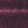 Schwarzkopf Professional Igora Vibrance Kit 6-99 Dark Blonde Violet Extra Clearance