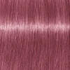 Schwarzkopf Professional Igora Vibrance Kit 9.5-98 Violet Red Toner Outlet