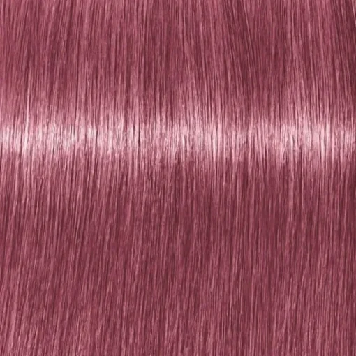 Schwarzkopf Professional Igora Vibrance Kit 9.5-98 Violet Red Toner Outlet