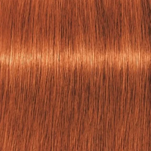 Schwarzkopf Professional Igora Vibrance Kit 7-77 Medium Blonde Copper Extra Online