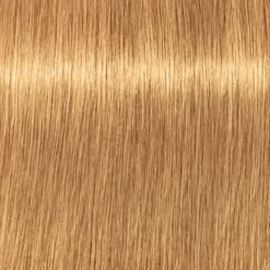 Schwarzkopf Professional Igora Vibrance Kit 9.5-5 Gold Toner Online