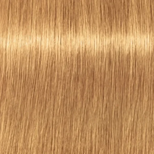 Schwarzkopf Professional Igora Vibrance Kit 9.5-5 Gold Toner Online