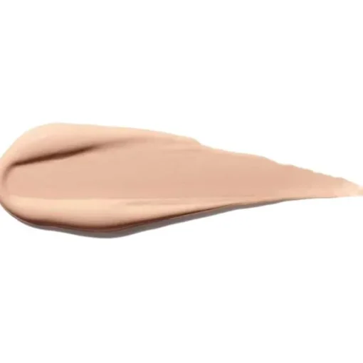 Shiseido Synchro Skin Self Refreshing Concealer 203 6ml New
