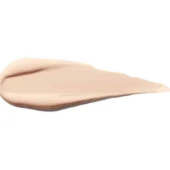 Shiseido Synchro Skin Self Refreshing Concealer 102 6ml Online