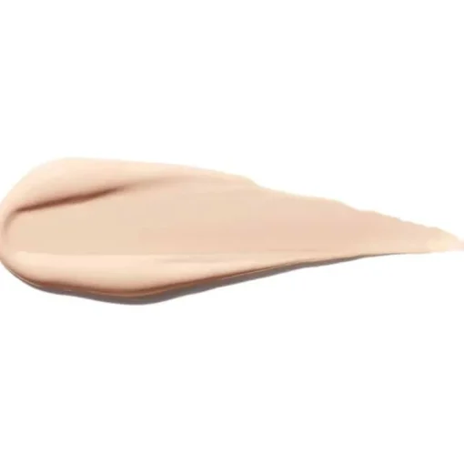 Shiseido Synchro Skin Self Refreshing Concealer 102 6ml Online