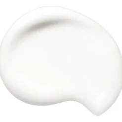 Shiseido Synchro Skin Soft Blurring Primer 30ml Online