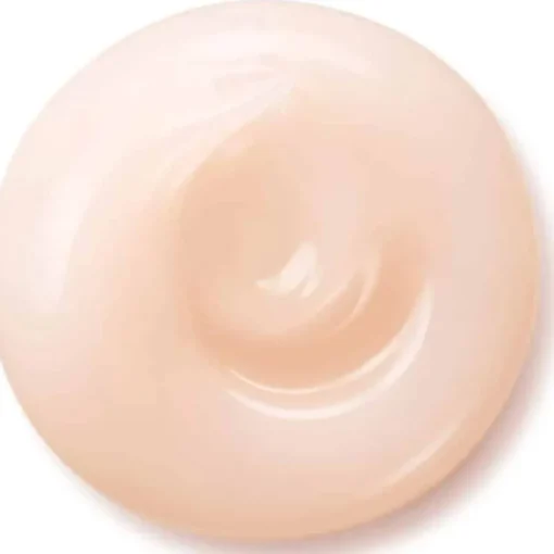 Shiseido White Lucent Overnight Cream And Mask 75ml Best