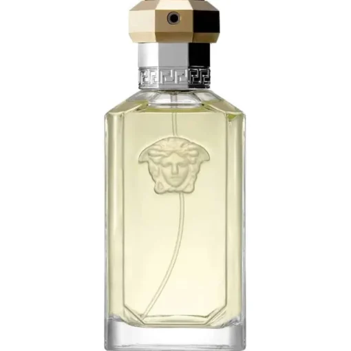 Versace The Dreamer Edt 100ml Clearance