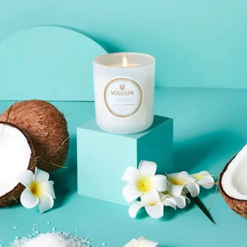 Voluspa Classic Candle Laguna 269g Discount