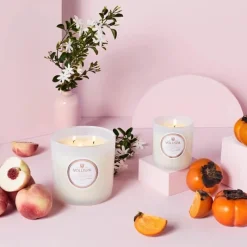 Voluspa Classic Candle Saijo Persimmon 269g New