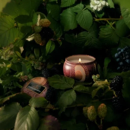 Voluspa Decorative Tin Candle Foraged Wildberry 113g Hot