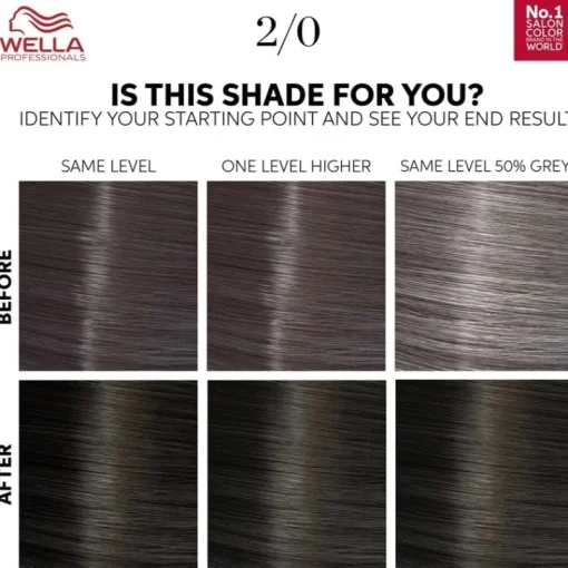 WELLA Color Touch Pure Naturals 2/0 Black Hot