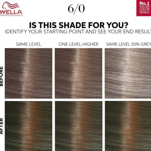 WELLA Color Touch Pure Naturals 6/0 Dark Blonde New