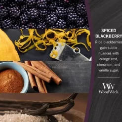 WoodWick Petite – Spiced Blackberry Hot