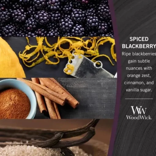 WoodWick Petite – Spiced Blackberry Hot